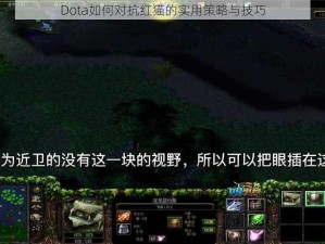 Dota如何对抗红猫的实用策略与技巧