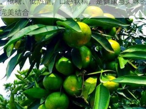 18 岁污榴莲丝瓜草莓秋葵，富含膳食纤维，低糖、低热量，口感软糯，是健康与美味的完美结合