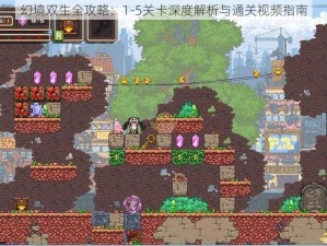 幻境双生全攻略：1-5关卡深度解析与通关视频指南