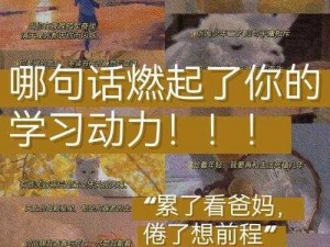 夹看学长的巨大的鸡把写作业，优质学习伴侣，提升效率