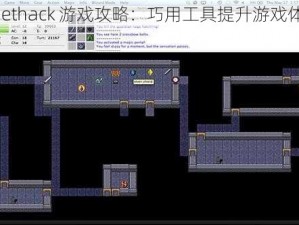 《nethack 游戏攻略：巧用工具提升游戏体验》