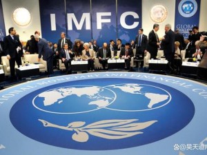 IMF 发出重要警告：小心这类资产风险极高