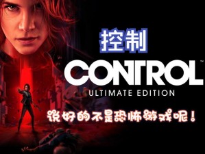 《Control控制》新手入门指南：关键注意事项详解