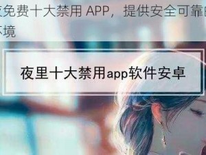 半夜免费十大禁用 APP，提供安全可靠的上网环境