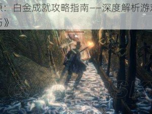 《血源：白金成就攻略指南——深度解析游戏流程与技巧》