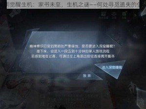 黎明觉醒生机：家书未至，生机之谜——何处寻觅遗失的信笺