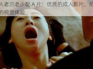 老女人老泬老少配 A 片：优质的成人影片，给你不一样的视觉体验