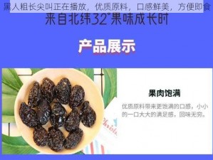 黑人粗长尖叫正在播放，优质原料，口感鲜美，方便即食