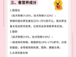 和金毛干了四年都没事——[品牌名]狗粮，让你的爱犬健康成长