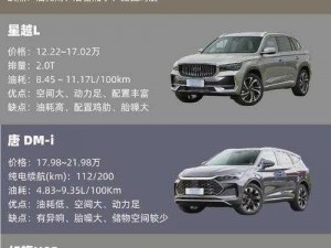 国产 SUV 精二区的高性价比、大空间、高品质等特点