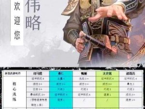 《真三国无双 6 魏国角色全攻略详解：史实与攻略的完美结合》