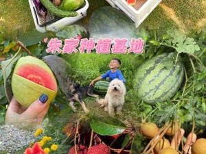 新鲜采摘的丝瓜芭乐，小猪草莓，鸭脖 ios，口感鲜美，营养丰富