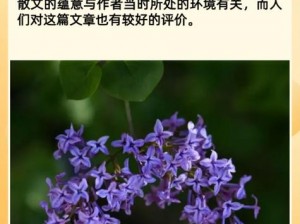 探寻丁香花背后的故事，品味经典与时尚的完美融合