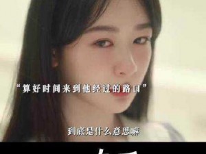 成全视频在线播放观看方法，精彩内容不容错过