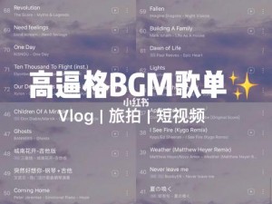 一款提供成熟交 BGMBGMBGM 在线观看的视频播放软件