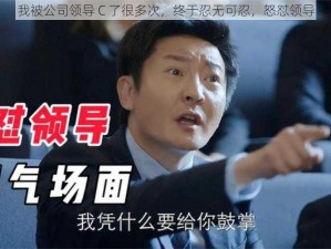 我被公司领导 C 了很多次，终于忍无可忍，怒怼领导