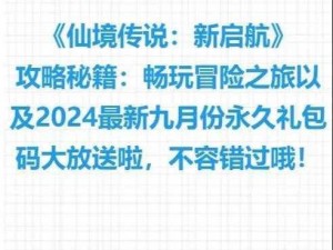 仙境传说新启航空中要塞攻略大全：战斗策略详解与通关秘籍分享