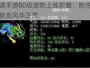 问道手游80级宠物上线前瞻：抢先盘点新宠风华正茂