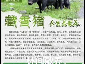 人马畜禽 CORPORATION 猪，鲜嫩多汁，营养丰富，是您健康生活的最佳选择