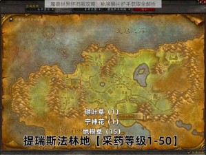 魔兽世界怀旧服攻略：粘液鳞片护手获取全解析