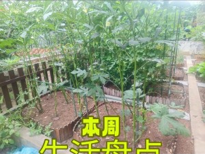 秋葵草莓丝瓜黄瓜榴莲大全 秋葵、草莓、丝瓜、黄瓜、榴莲，你想知道它们的全部秘密吗？