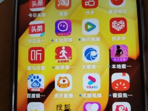 一款提供免费下载安装流氓 app 的应用