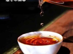 温茶 poH——让你随时随地享受温暖茶香