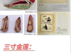 为什么有人对肉莲法器实物图感兴趣？如何欣赏肉莲法器实物图？怎样通过肉莲法器实物图了解传统文化？