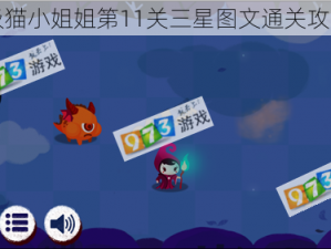 吸猫小姐姐第11关三星图文通关攻略