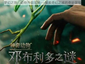 梦幻之旅：动物升级攻略——探索奇幻之城的奇妙冒险