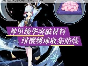 原神：绯樱绣球——稻妻特有的材料，用于角色突破与合成道具