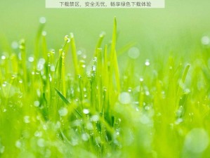 下载禁区，安全无忧，畅享绿色下载体验