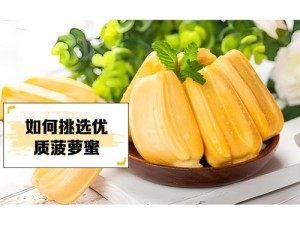 菠萝蜜app下载汅api免费新版;如何下载菠萝蜜 app 汅 api 免费新版？