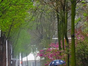 室外春雨绵绵，室内为何依旧欢声笑语？