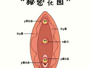 各种姿势玩小处雌女TXT视频、各种姿势玩小处雌女 TXT 视频：探索未知的私密世界