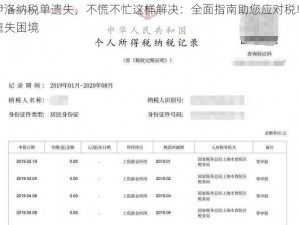 伊洛纳税单遗失，不慌不忙这样解决：全面指南助您应对税单遗失困境