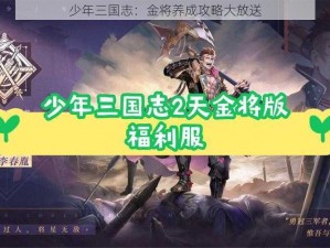 少年三国志：金将养成攻略大放送