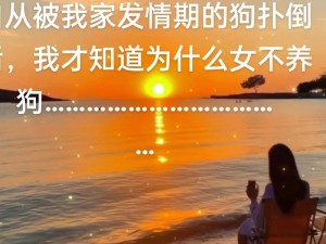 白天是人晚上是狗？张淑敏的秘密竟然是……