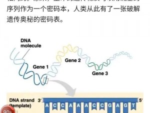 动物dna与人类dna生小孩【人类与动物 DNA 结合能否孕育生命？】