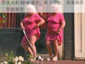 欧美内射 BBW 偷拍，私人定制，高清画质，极致享受