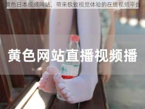 黄色日本视频网站，带来极致视觉体验的在线视频平台