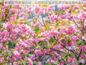 春暖花开亚洲论坛：让您的企业在亚洲市场绽放光彩