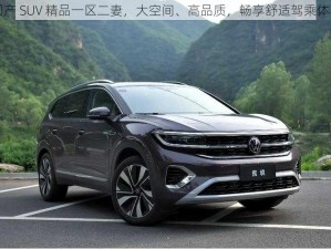 国产 SUV 精品一区二妻，大空间、高品质，畅享舒适驾乘体验