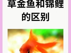 锦鲤吸水和夹有什么区别？为什么要了解它们的不同？如何正确区分？