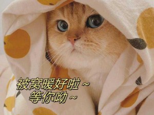 猫咪成年短视频在线看，海量精彩内容等你发现