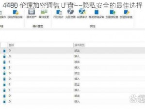 4480 伦理加密通信 U 盘——隐私安全的最佳选择