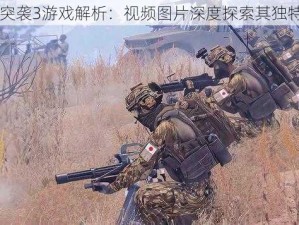 武装突袭3游戏解析：视频图片深度探索其独特魅力