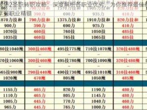 地下城堡2圣职转职攻略：深度解析各职业优劣，为你推荐最佳转职选择，掌握职业精髓