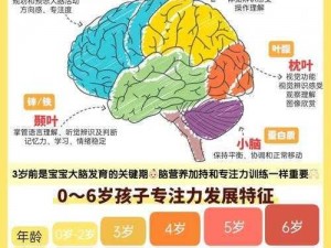 宝宝坐上来自己动好不好网站——专注儿童智能教育，培养未来之星