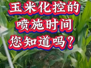 玉米几，为什么你的产量总是上不去？如何提高玉米几的产量？有哪些方法可以做到？